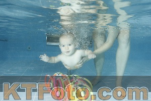 Photo 4306622