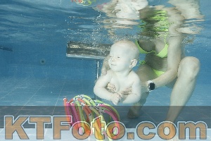 Photo 4306625