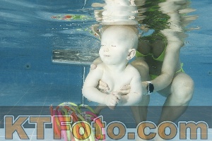 Photo 4306626