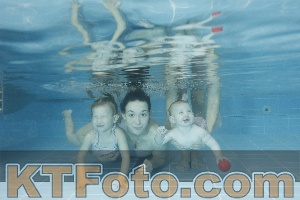 Photo 4306628