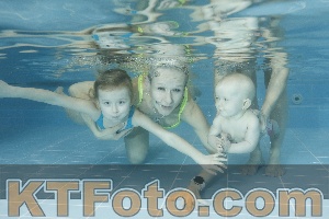 Photo 4306635