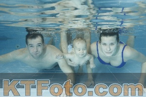 Photo 4306637