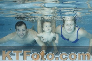 Photo 4306639