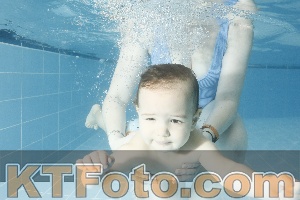 Photo 4306717