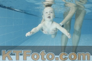 Photo 4306720
