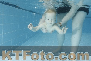 Photo 4306722