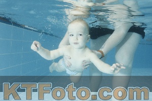 Photo 4306723