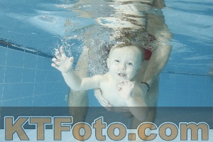 Photo 4306727