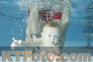 Photo 4306728