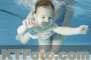 Photo 4306731