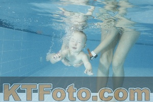 Photo 4306732