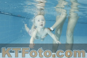 Photo 4306733