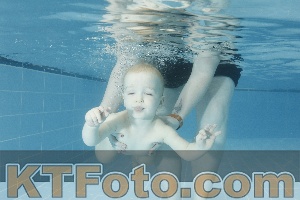 Photo 4306736