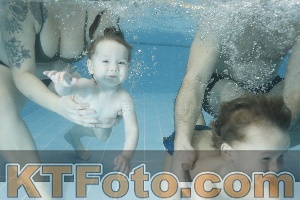 Photo 4306738