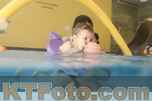 Photo 4306740