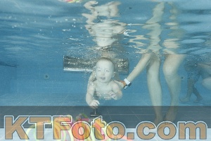 Photo 4306811