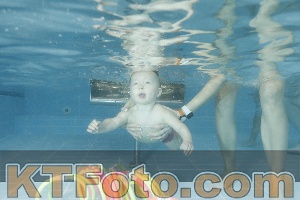 Photo 4306812
