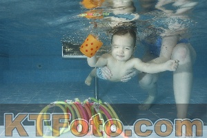 Photo 4306813