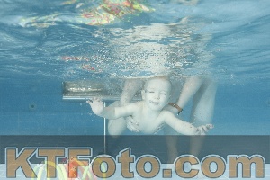 Photo 4306815