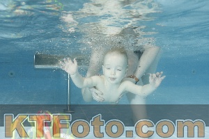 Photo 4306816