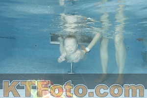 Photo 4306823