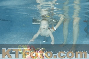 Photo 4306824