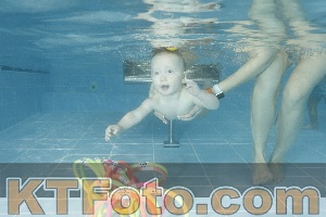 Photo 4306825