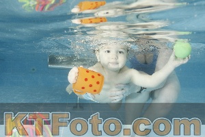 Photo 4306827