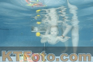 Photo 4306828