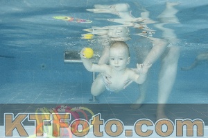 Photo 4306829