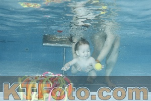 Photo 4306831