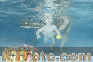 Photo 4306832