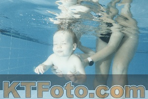 Photo 4306942