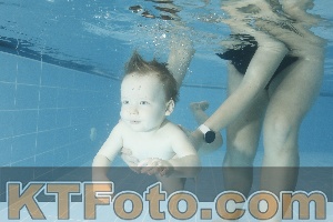 Photo 4306943