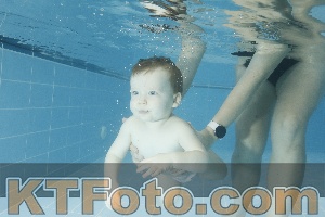 Photo 4306944
