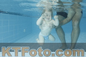 Photo 4306945