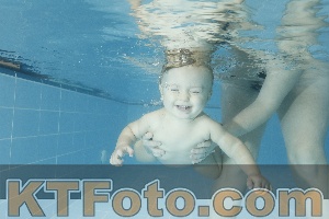 Photo 4306947