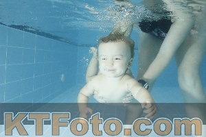 Photo 4306948