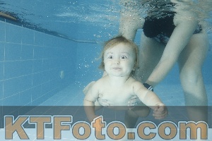 Photo 4306949