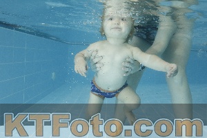 Photo 4306950