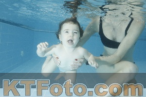 Photo 4306952