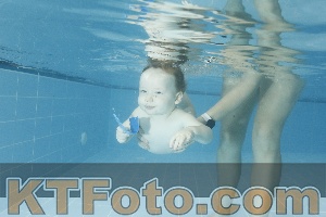 Photo 4306954