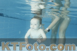 Photo 4306955