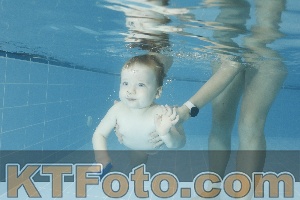 Photo 4306956