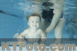 Photo 4306960