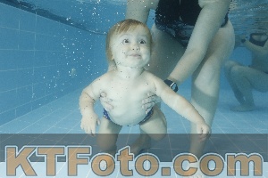Photo 4306962