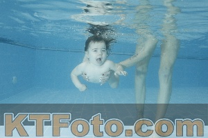 Photo 4306964