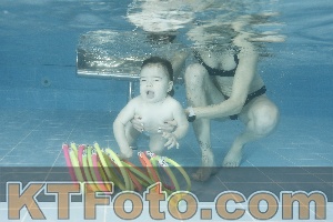 Photo 4307022