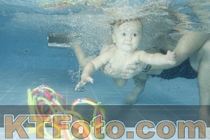 Photo 4307027