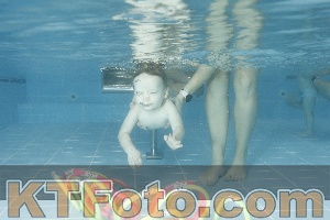 Photo 4307028